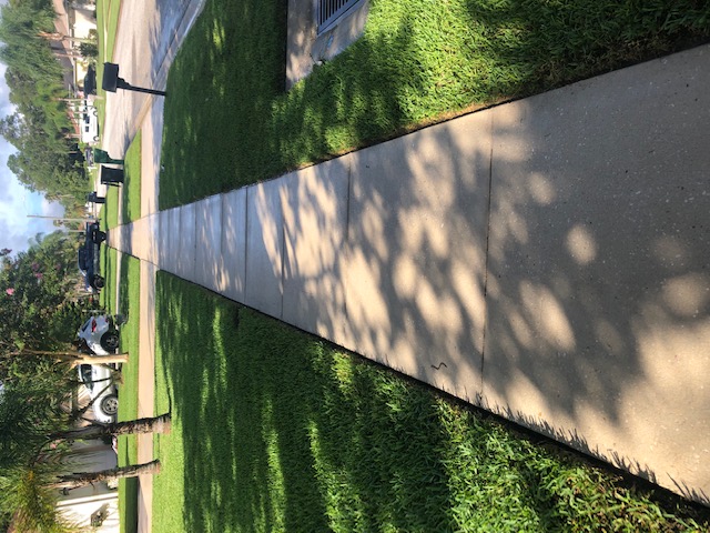 Sidewalk Washing in Port Orange, Florida (1)