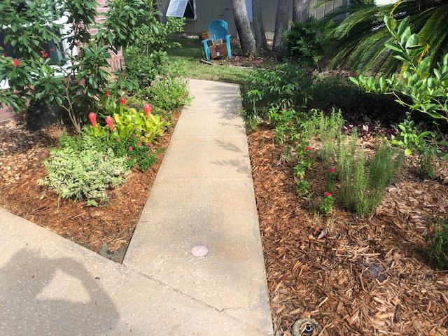 Sidewalk Washing in Port Orange, Florida